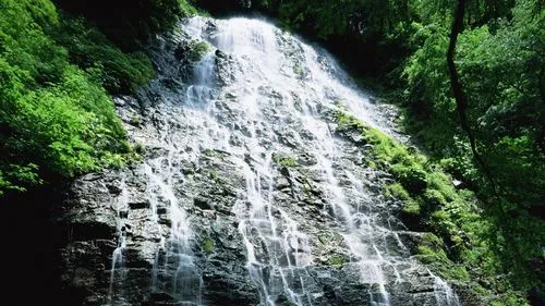 节能节能数字化